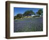 Bluebonnets, Hill Country, Texas, USA-Dee Ann Pederson-Framed Photographic Print