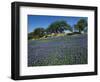 Bluebonnets, Hill Country, Texas, USA-Dee Ann Pederson-Framed Photographic Print