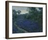 Bluebonnets in the Misty Morning-Julian Onderdonk-Framed Premium Giclee Print