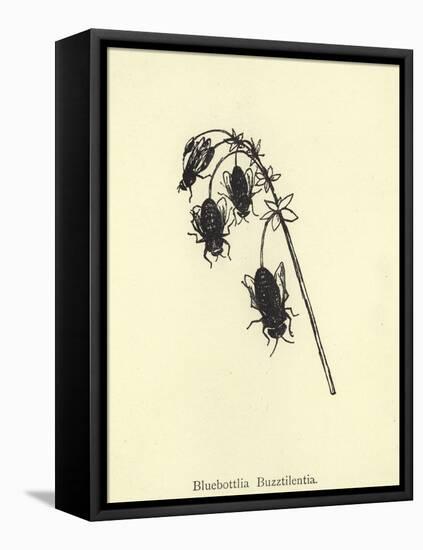 Bluebottlia Buzztilentia-Edward Lear-Framed Stretched Canvas