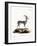 Bluebuck-null-Framed Giclee Print