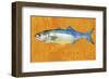 Bluefish-John Golden-Framed Giclee Print