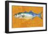 Bluefish-John Golden-Framed Giclee Print