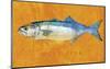Bluefish-John Golden-Mounted Giclee Print