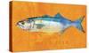 Bluefish-John Golden-Stretched Canvas