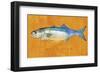 Bluefish-John W^ Golden-Framed Art Print
