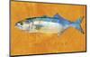 Bluefish-John W^ Golden-Mounted Art Print