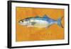 Bluefish-John W^ Golden-Framed Art Print