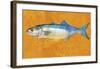 Bluefish-John W^ Golden-Framed Art Print