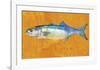 Bluefish-John W^ Golden-Framed Art Print