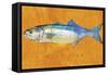 Bluefish-John W Golden-Framed Stretched Canvas