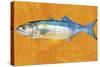Bluefish-John W Golden-Stretched Canvas