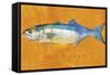 Bluefish-John W Golden-Framed Stretched Canvas