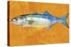 Bluefish-John W Golden-Stretched Canvas