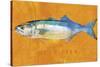 Bluefish-John W Golden-Stretched Canvas