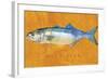 Bluefish-John W Golden-Framed Giclee Print