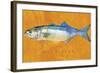 Bluefish-John W Golden-Framed Giclee Print