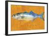 Bluefish-John W Golden-Framed Giclee Print