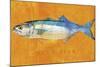 Bluefish-John W Golden-Mounted Giclee Print