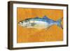 Bluefish-John W Golden-Framed Giclee Print