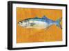 Bluefish-John W Golden-Framed Giclee Print