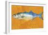 Bluefish-John W Golden-Framed Giclee Print