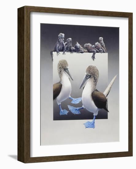 Bluefooted Boobies and Marine Iguanas-Harro Maass-Framed Giclee Print