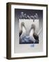 Bluefooted Boobies and Marine Iguanas-Harro Maass-Framed Giclee Print