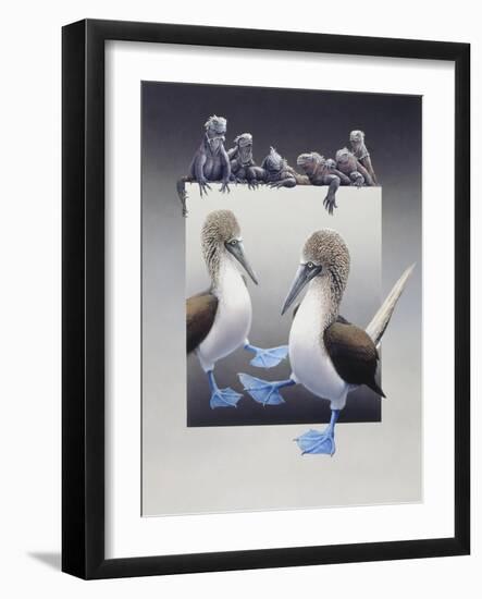 Bluefooted Boobies and Marine Iguanas-Harro Maass-Framed Giclee Print