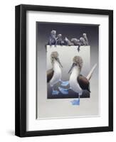 Bluefooted Boobies and Marine Iguanas-Harro Maass-Framed Giclee Print