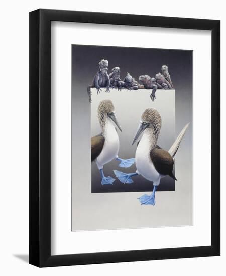 Bluefooted Boobies and Marine Iguanas-Harro Maass-Framed Giclee Print