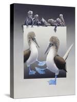 Bluefooted Boobies and Marine Iguanas-Harro Maass-Stretched Canvas