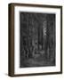 Bluegase-field, Illustration from 'Londres' by Louis Enault-Gustave Doré-Framed Giclee Print