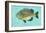 Bluegill-John Golden-Framed Art Print