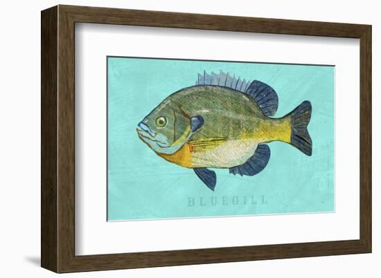 Bluegill-John W^ Golden-Framed Art Print