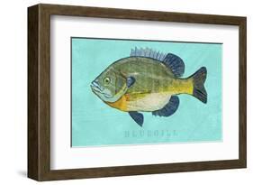 Bluegill-John W^ Golden-Framed Art Print