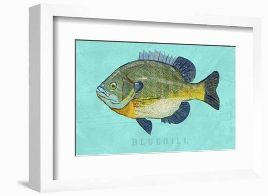 Bluegill-John W^ Golden-Framed Art Print