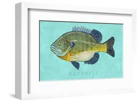 Bluegill-John W^ Golden-Framed Art Print