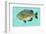 Bluegill-John W^ Golden-Framed Art Print