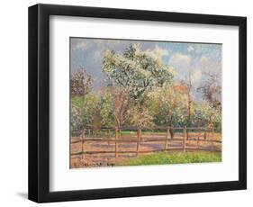 Blühende Birnbäume, Eragny (Poiriers en fleur, Eragny). 1894-Camille Pissarro-Framed Premium Giclee Print