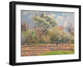 Blühende Birnbäume, Eragny (Poiriers en fleur, Eragny). 1894-Camille Pissarro-Framed Giclee Print