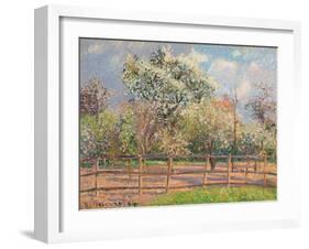 Blühende Birnbäume, Eragny (Poiriers en fleur, Eragny). 1894-Camille Pissarro-Framed Giclee Print