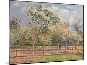 Blühende Birnbäume, Eragny (Poiriers en fleur, Eragny). 1894-Camille Pissarro-Mounted Giclee Print