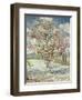 Bluehende Pfirsichbaeume (Souvenir De Mauve), 1888-Vincent van Gogh-Framed Giclee Print