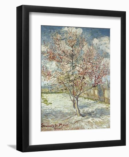 Bluehende Pfirsichbaeume (Souvenir De Mauve), 1888-Vincent van Gogh-Framed Giclee Print