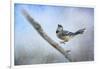 Bluejay in the Snow-Jai Johnson-Framed Giclee Print