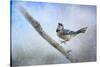 Bluejay in the Snow-Jai Johnson-Stretched Canvas