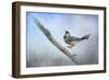 Bluejay in the Snow-Jai Johnson-Framed Giclee Print