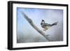 Bluejay in the Snow-Jai Johnson-Framed Giclee Print