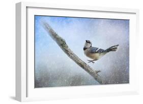 Bluejay in the Snow-Jai Johnson-Framed Giclee Print